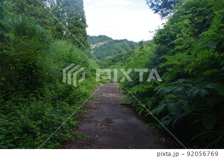 生きていた生活道路 生きていた生活道路 92056769
