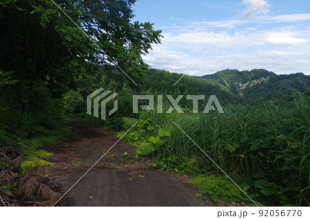 生きていた生活道路 92056770