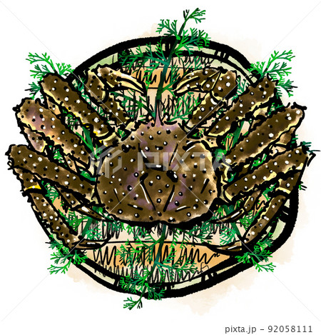 「タラバガニ」の手書きイラスト(筆書き墨絵風) 「タラバガニ」の手書きイラスト(筆書き墨絵風) 92058111