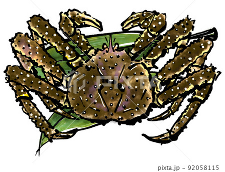 「タラバガニ」の手書きイラスト(筆書き墨絵風) 「タラバガニ」の手書きイラスト(筆書き墨絵風) 92058115