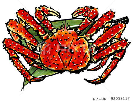 「タラバガニ」の手書きイラスト（筆書き墨絵風） 92058117