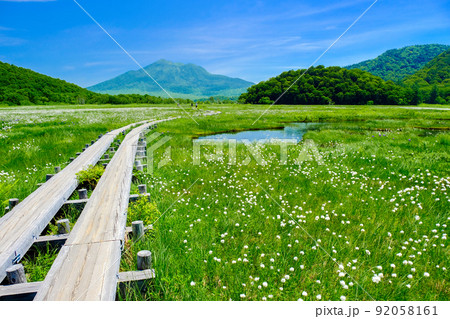 ワタスゲ咲く湿原と燧ケ岳 ワタスゲ咲く湿原と燧ケ岳 92058161