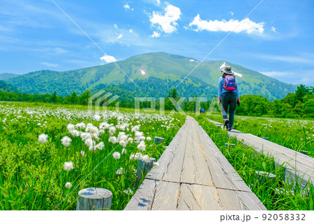 尾瀬ヶ原に咲くわたすげと至仏山 尾瀬ヶ原に咲くわたすげと至仏山 92058332