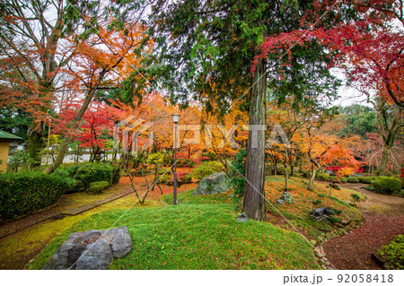 小江戸川越の秋　紅葉の喜多院　紅葉山庭園 92058418