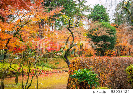 小江戸川越の秋　紅葉の喜多院　紅葉山庭園 92058424