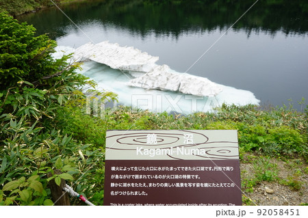 夏の八幡平はお花畑 鏡沼 92058451