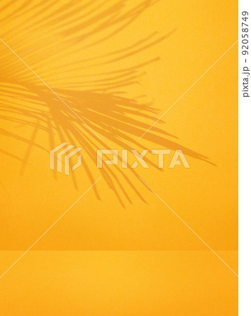 黄色い壁とヤシの影 92058749