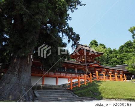 奈良　春日大社　中門・御廊 92059568