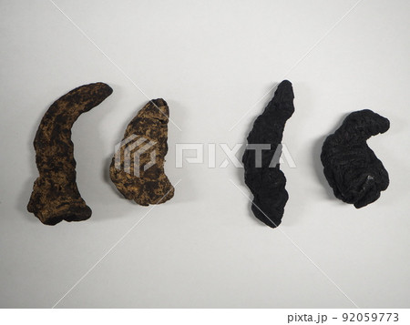 生薬 地黄 ジオウ 生薬 地黄 ジオウ 92059773