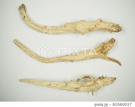 生薬 桔梗 キキョウ 生薬 桔梗 キキョウ 92060037