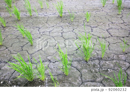 水不足干ばつイメージ 水不足干ばつイメージ 92060232