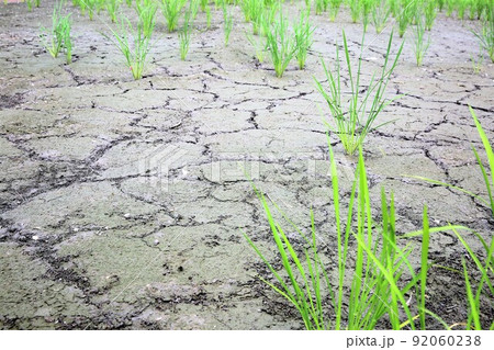 水不足干ばつイメージ 水不足干ばつイメージ 92060238