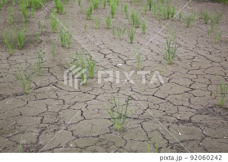 水不足干ばつイメージ 92060242