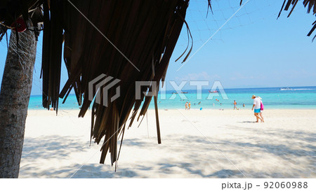 Palm leaves on the roof of the gazebo. 92060988