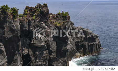 伊東城ケ崎海岸燕島 92061402