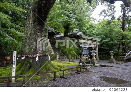 【静岡県】 事任八幡宮 【静岡県】 事任八幡宮 92062223