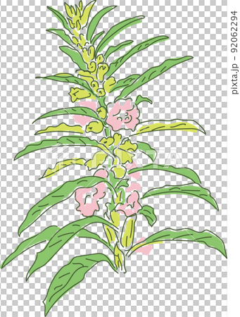 Rough hand-painted sesame flowers 92062294