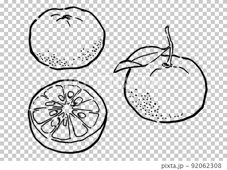 簡單的插圖線畫柚子-插圖素材[92062308] - PIXTA圖庫