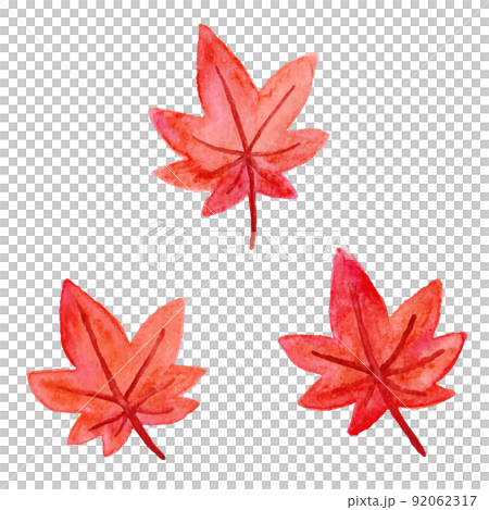 紅葉した葉っぱの水彩イラスト　セット　白背景　ベクター　水彩画　手書き　クリップアート 92062317