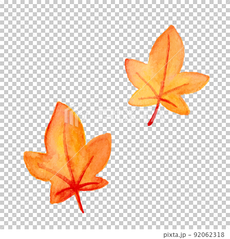 紅葉した葉っぱの水彩イラスト　セット　白背景　ベクター　水彩画　手書き　クリップアート 92062318