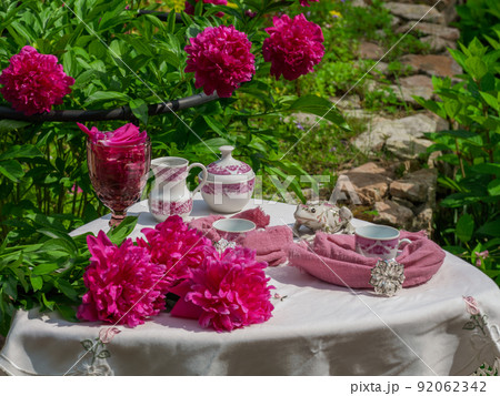 Morning tea on a table in the garden against the backdrop of a flowering shrub Japanese spirea 92062342