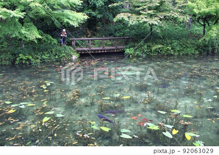名もなき池（通称：モネの池）散策・1（岐阜県関市板取） 92063029