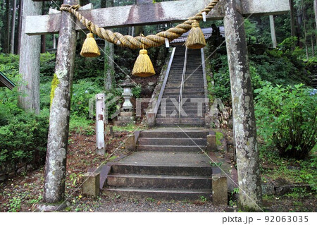 名もなき池（通称：モネの池）散策・3（岐阜県関市板取） 92063035