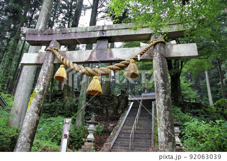 名もなき池（通称：モネの池）散策・5（岐阜県関市板取） 92063039