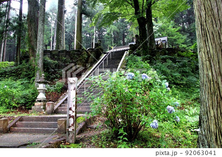 名もなき池（通称：モネの池）散策・6（岐阜県関市板取） 92063041