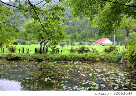名もなき池（通称：モネの池）散策・9（岐阜県関市板取） 92063044