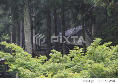 名もなき池（通称：モネの池）散策・13（岐阜県関市板取） 92063048