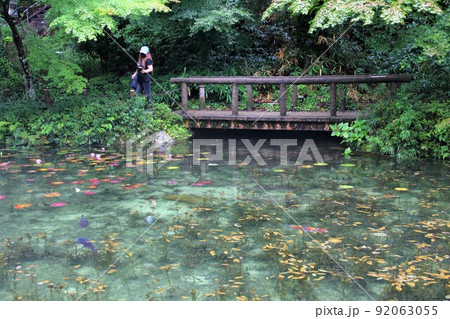 名もなき池（通称：モネの池）散策・20（岐阜県関市板取） 92063055