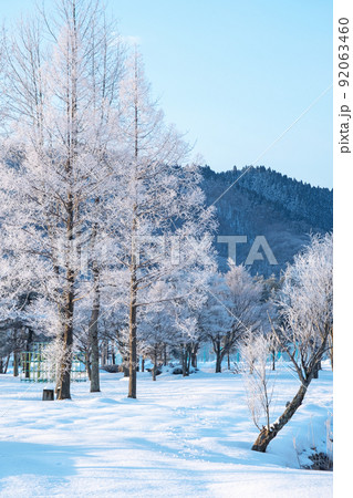 蒜山高原　霜・冬色イメージ 92063460