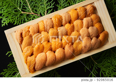 生うに（ロシア産バフンウニ） 92065016