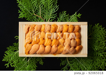 生うに(ロシア産バフンウニ) 生うに(ロシア産バフンウニ) 92065018