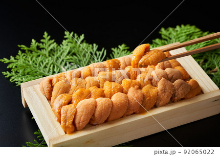 生うに（ロシア産バフンウニ） 92065022