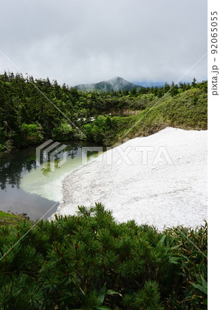 夏の八幡平 めがね沼 夏の八幡平 めがね沼 92065055