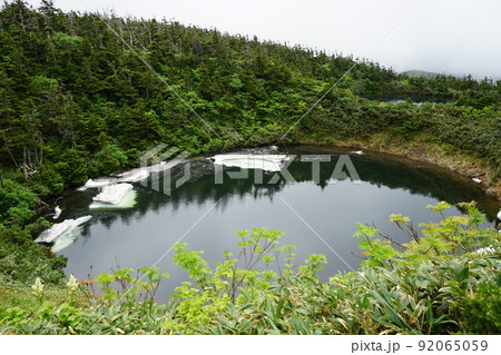 夏の八幡平 めがね沼 92065059