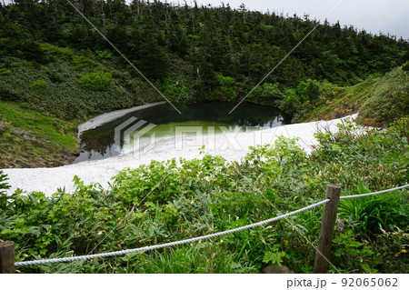 夏の八幡平 めがね沼 92065062