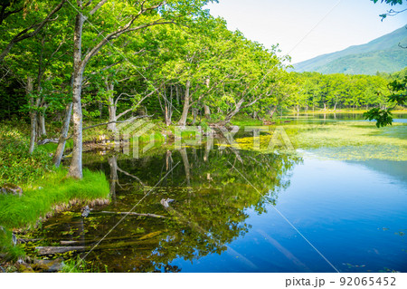 北海道　知床五湖ガイドウォーク 92065452
