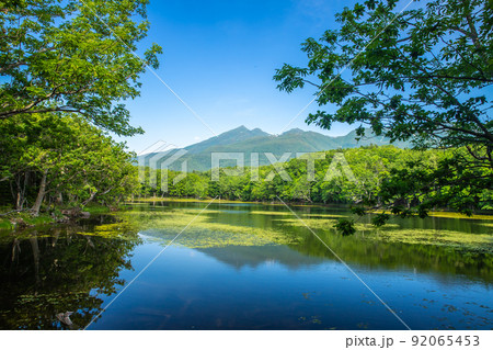 北海道 知床五湖ガイドウォーク 北海道 知床五湖ガイドウォーク 92065453