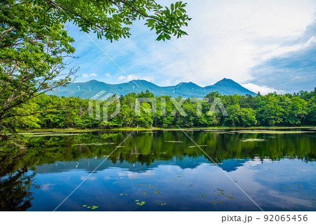 北海道　知床五湖ガイドウォーク 92065456