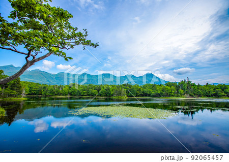 北海道　知床五湖ガイドウォーク 92065457