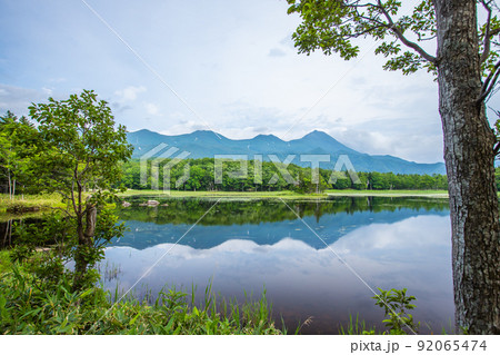 北海道 知床五湖ガイドウォーク 北海道 知床五湖ガイドウォーク 92065474