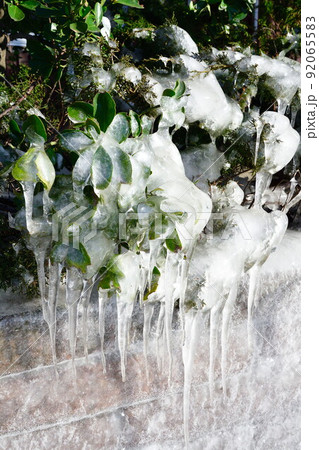 つららイメージ（新潟県） 92065583