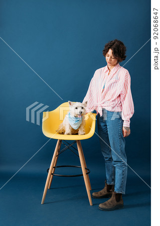 Young woman in casuals looking at her white dog on yellow chair 92068647