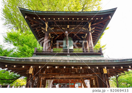 樹齢1200年を超える飛騨国分寺の大イチョウ（岐阜県高山市） 92069433