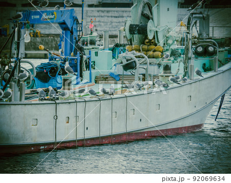 漁船の船体に並ぶウミネコ達を少し構図をズラして撮影 92069634