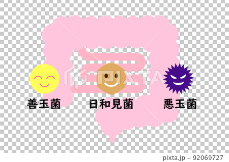 Illustration of the intestine where good bacteria, opportunistic bacteria and bad bacteria coexist. 92069727