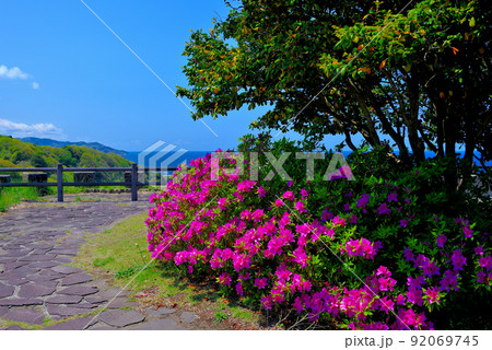 北陸・奥能登・能登半島・奥能登絶景海道沿い、堂ヶ崎を望む椿展望台の眺め・石川県珠洲市 92069745